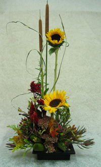 fall w/ sunflowers